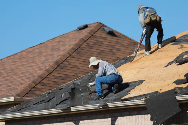 Best Roof Moss and Algae Removal  in Flandreau, SD